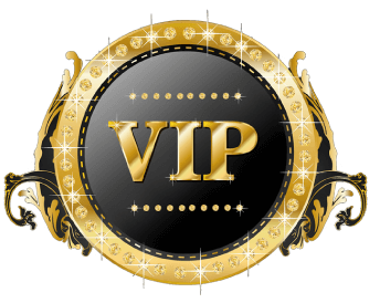 vip konaklama